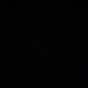 Meet your Posher, Lina